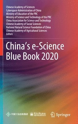 bokomslag Chinas e-Science Blue Book 2020