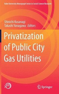 bokomslag Privatization of Public City Gas Utilities