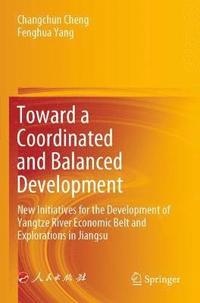 bokomslag Toward a Coordinated and Balanced Development