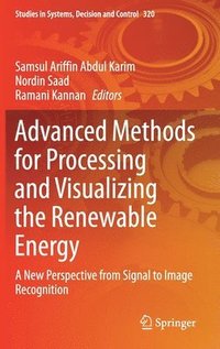bokomslag Advanced Methods for Processing and Visualizing the Renewable Energy