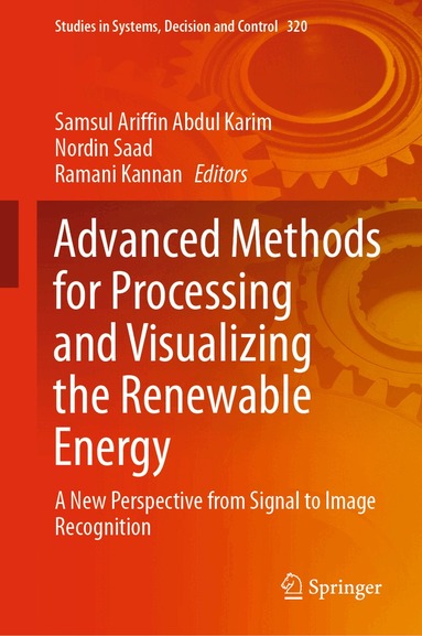 Samsul Ariffin Abdul Karim, Nordin Saad, Ramani Kannan - Advanced Methods for Processing and Visualizing the Renewable Energy, Inbunden