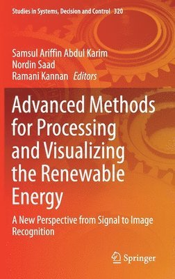 bokomslag Advanced Methods for Processing and Visualizing the Renewable Energy