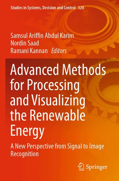 Samsul Ariffin Abdul Karim, Nordin Saad, Ramani Kannan - Advanced Methods for Processing and Visualizing the Renewable Energy, Häftad