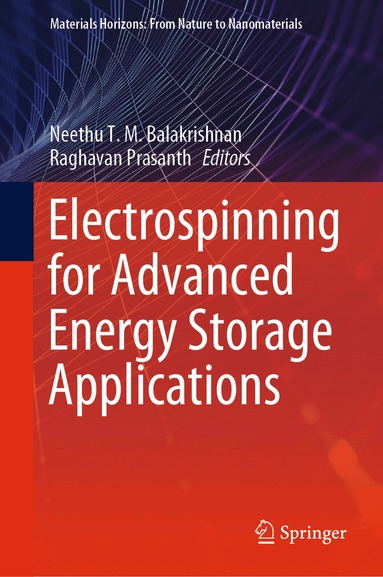 Neethu T. M. Balakrishnan, Raghavan Prasanth - Electrospinning for Advanced Energy Storage Applications, Inbunden