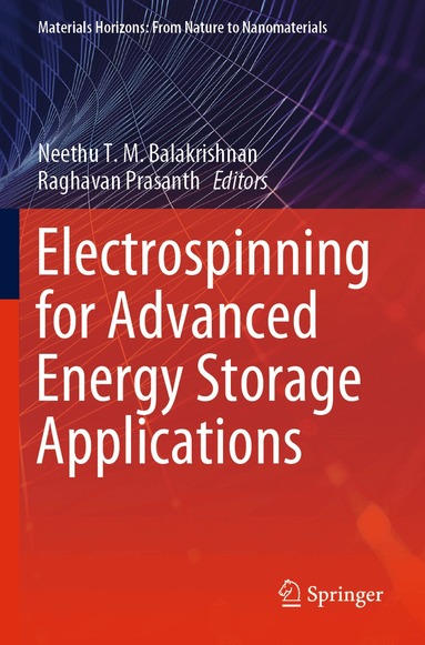 Neethu T. M. Balakrishnan, Raghavan Prasanth - Electrospinning for Advanced Energy Storage Applications, Häftad