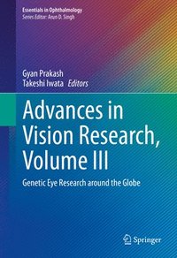 bokomslag Advances in Vision Research, Volume III