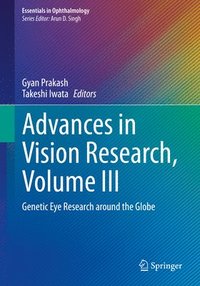 bokomslag Advances in Vision Research, Volume III