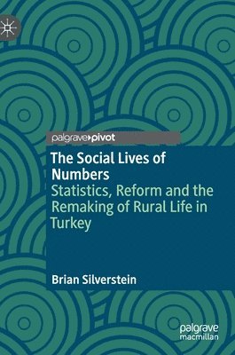 bokomslag Social Lives of Numbers