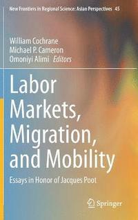 bokomslag Labor Markets, Migration, and Mobility
