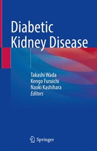 bokomslag Diabetic Kidney Disease