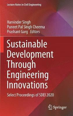 bokomslag Sustainable Development Through Engineering Innovations