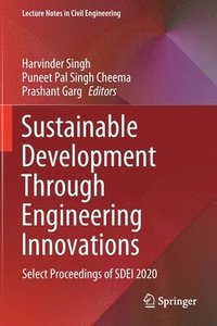 bokomslag Sustainable Development Through Engineering Innovations