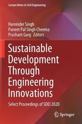 bokomslag Sustainable Development Through Engineering Innovations