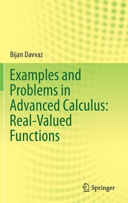 Examples and Problems in Advanced Calculus: Real-Valued Functions 1