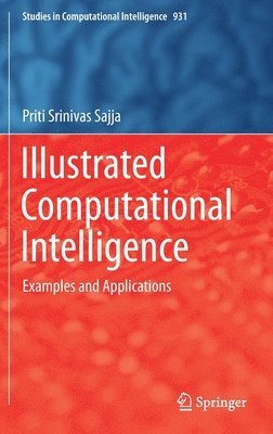 Priti Srinivas Sajja - Illustrated Computational Intelligence, Inbunden