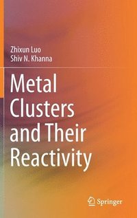 bokomslag Metal Clusters and Their Reactivity
