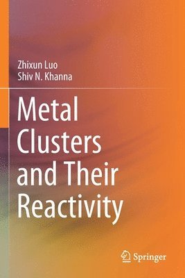 Zhixun Luo, Shiv N. Khanna - Metal Clusters and Their Reactivity, Häftad