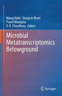 bokomslag Microbial Metatranscriptomics Belowground