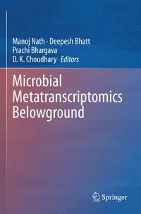 bokomslag Microbial Metatranscriptomics Belowground