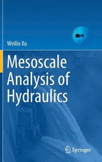 bokomslag Mesoscale Analysis of Hydraulics