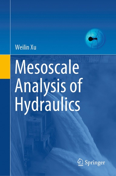 bokomslag Mesoscale Analysis of Hydraulics