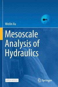 bokomslag Mesoscale Analysis of Hydraulics