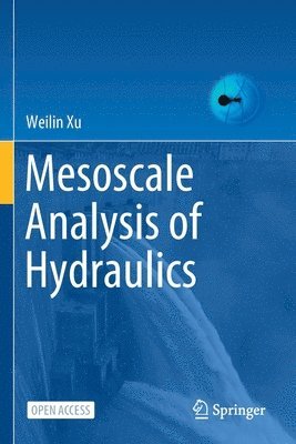 bokomslag Mesoscale Analysis of Hydraulics