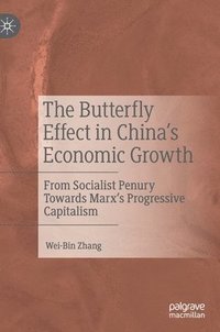 bokomslag The Butterfly Effect in Chinas Economic Growth