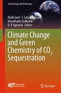 bokomslag Climate Change and Green Chemistry of CO2 Sequestration