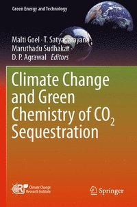 bokomslag Climate Change and Green Chemistry of CO2 Sequestration