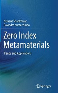 bokomslag Zero Index Metamaterials