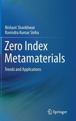 Zero Index Metamaterials 1
