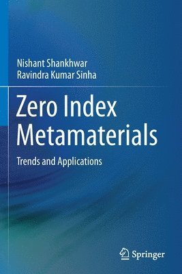 Zero Index Metamaterials 1
