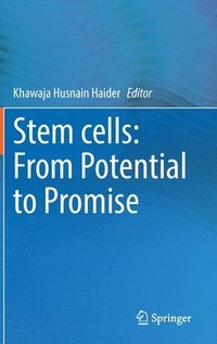 bokomslag Stem cells: From Potential to Promise