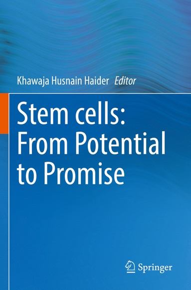 bokomslag Stem cells: From Potential to Promise