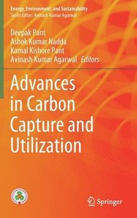 bokomslag Advances in Carbon Capture and Utilization