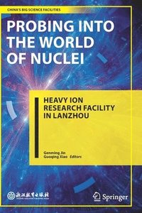 bokomslag Probing into the World of Nuclei