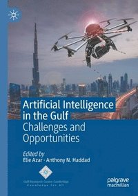 bokomslag Artificial Intelligence in the Gulf