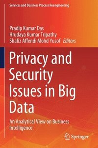 bokomslag Privacy and Security Issues in Big Data