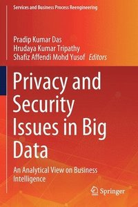 bokomslag Privacy and Security Issues in Big Data
