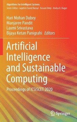 bokomslag Artificial Intelligence and Sustainable Computing