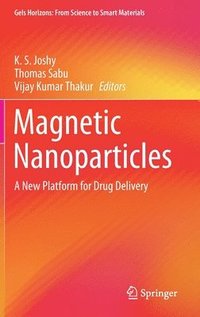 bokomslag Magnetic Nanoparticles