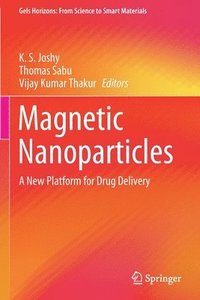 bokomslag Magnetic Nanoparticles