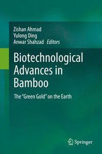 bokomslag Biotechnological Advances in Bamboo