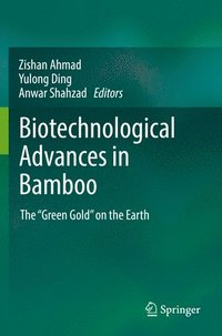 bokomslag Biotechnological Advances in Bamboo