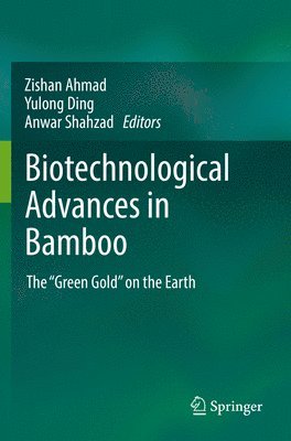 bokomslag Biotechnological Advances in Bamboo