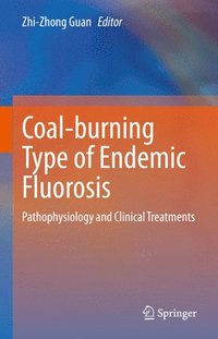 bokomslag Coal-burning Type of Endemic Fluorosis