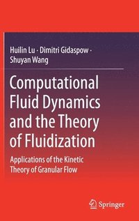 bokomslag Computational Fluid Dynamics and the Theory of Fluidization