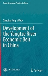 bokomslag Development of the Yangtze River Economic Belt in China