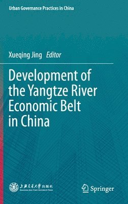 bokomslag Development of the Yangtze River Economic Belt in China